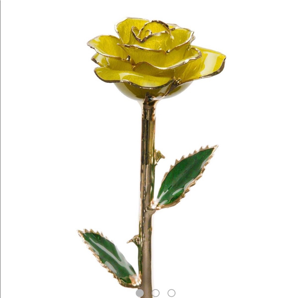 24K GOLD DIPPED ROSE dose of roses Beverly Hills